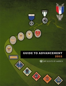 guidetoadvancement2015