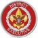 District Executive