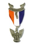 Eagle pin