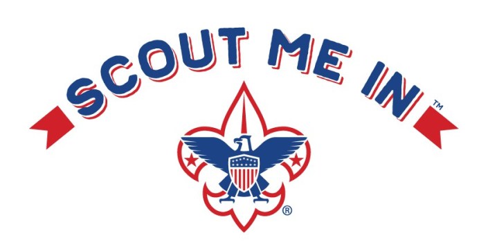scout-me-in-fleur-de-lis